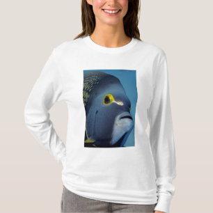 T-shirts Ilhas Cayman, Peixe-anjo-francês Pomacanthus