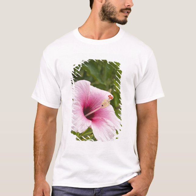 T-shirts Ilhas Cook, Atiu. Flor de hibisco. (Frente)