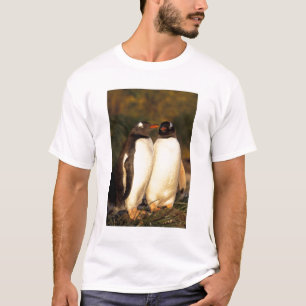 T-shirts Ilhas Falkland. Pinguins Gentoo. (Pyroscelis