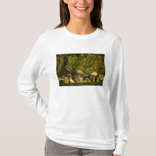 T-shirts Ilhas Similan, Parque Nacional Marinho perto