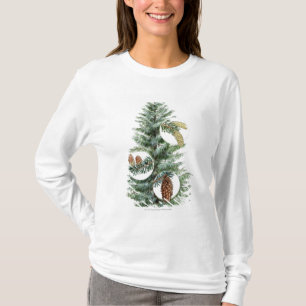 T-shirts Ilustração da árvore conífera com cones