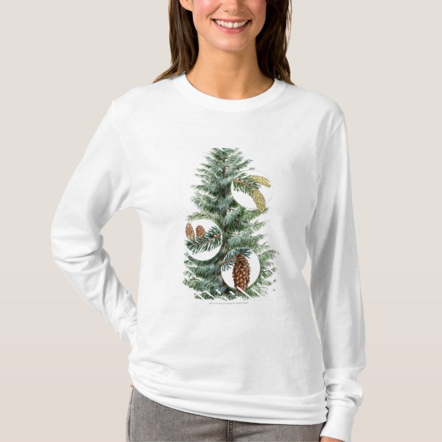 T-shirts Ilustração da árvore conífera com cones (Frente)
