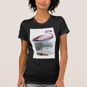 T-shirts Ilustração de Puna Flamingo Vintage