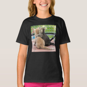 T-shirts Imagens de Getty   dois gatinhos em um balcão