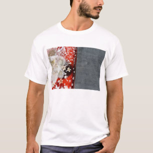 T-shirts Imortalidade 2
