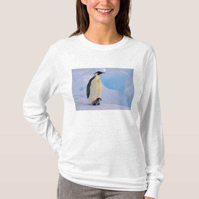 T-shirts Imperador Penguin | Aptenodytes (Frente)