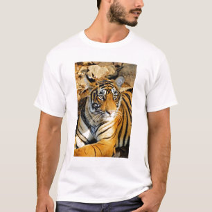 T-shirts Índia, Sawai Madhopur, Ranthambore Nacional