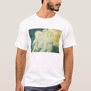 T-shirts Indonésia, Província de Sulawesi do Sul, Wakatobi
