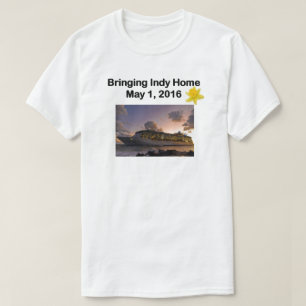 T-shirts Indy 050116