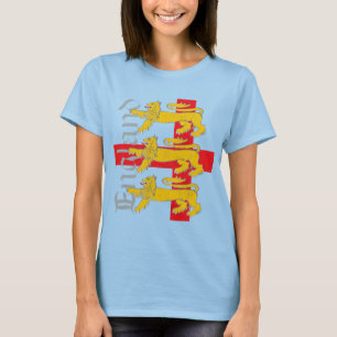 T-shirts Inglaterra 2010