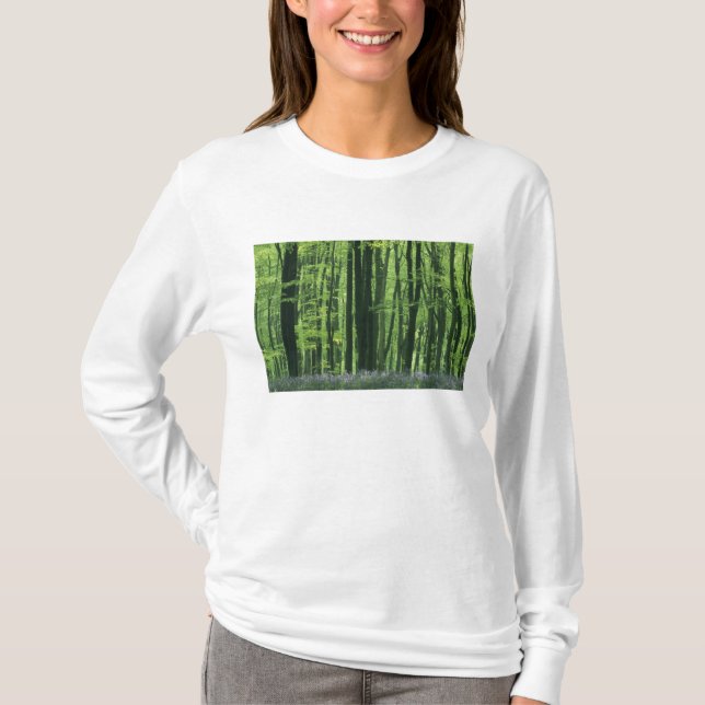 T-shirts Inglaterra, Floresta de faia e Bluebells (Frente)
