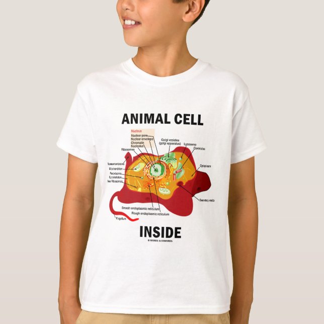 T-shirts Interior animal da pilha (biologia celular do (Frente)