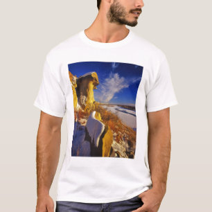 T-shirts Inverno ao longo do rio Missouri perto