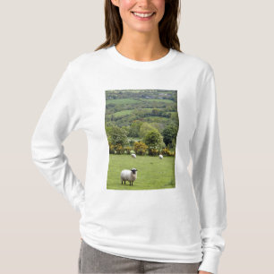 T-shirts Irlanda Ocidental, Península de Dingle, ampla