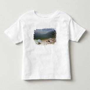 T-shirts Itália, Província de Verona, Brenzone. Lago de Gar