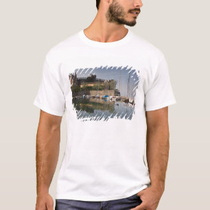 T-shirts Itália, Província de Verona, Torri del Benaco. Il