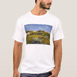 T-shirts Itália, Sardenha, Santa Teresa Gallura. Capo 3