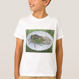 T-shirts Itens de Coordenação de Cigarras Anuais