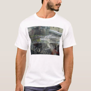 T-shirts Jacaré