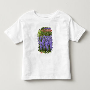 T-shirts Jardim de Tulipas e Jacintos, Jardins Keukenhof,
