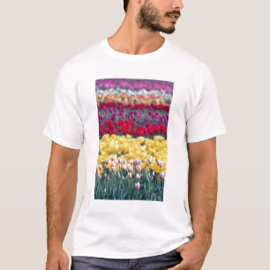 T-shirts jardim de tulipas no vale de Skagit,