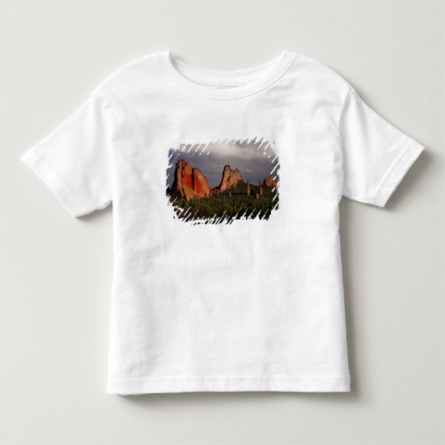T-shirts Jardim dos Deuses (Frente)