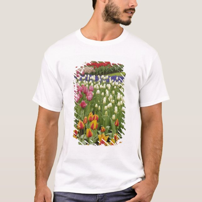 T-shirts Jardim Tulip e Hyacinth, Jardins Keukenhof, (Frente)