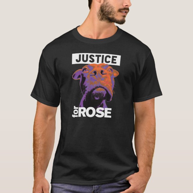 T-shirts Justiça 4 aumentou (Frente)