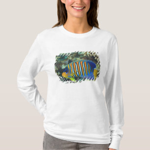 T-shirts Juvenile Regal Angelfish Pygoplites