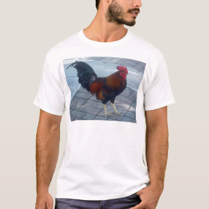 T-shirts Key West Rooster