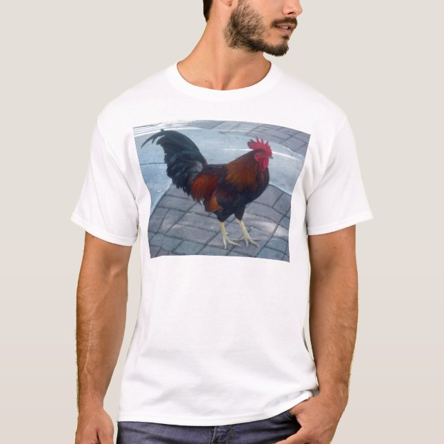 T-shirts Key West Rooster (Frente)