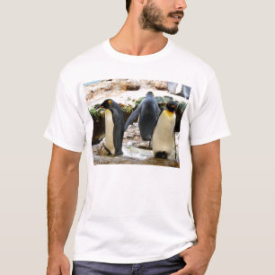 T-shirts King Penguins