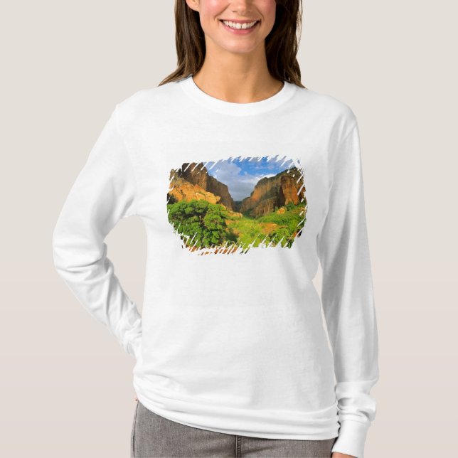 T-shirts Kolob Canyon no Zion Canyon na Zion National (Frente)