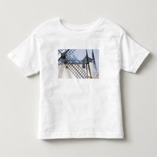 T-shirts La Mancha, Espanha. Don Quixote famosamente invest