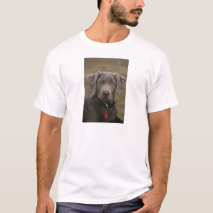 T-shirts Labrador retriever na prata clara rara