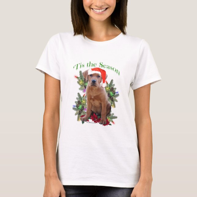 T-shirts Labrador Retriever "Tis (Frente)