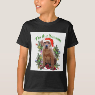 T-shirts Labrador Retriever "Tis