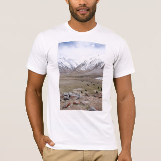 T-shirts Ladakh