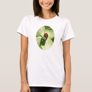 T-shirts Ladybug Na Natureza Da Flor Dogwood