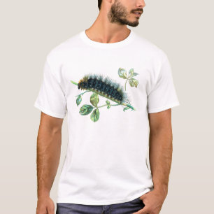T-shirts Lagarta Arctia caja