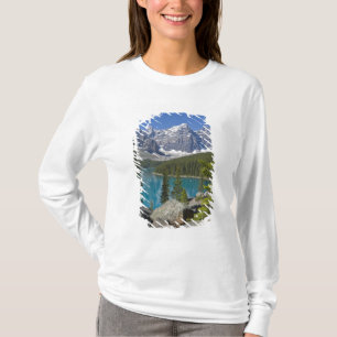 T-shirts Lago Moraine, Canadian Rockies, Alberta, Canadá