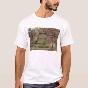 T-shirts Langures de Hanuman ou Langur cinzento, comum ou d