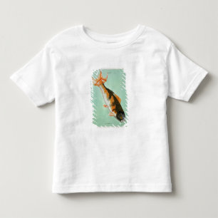 T-shirts Le Noriroux, gravado por Francois Nicholas Martine