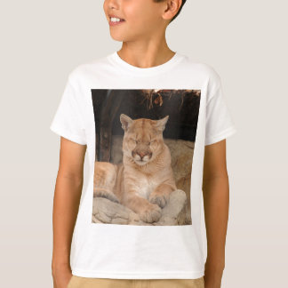 T-shirts Leão de montanha