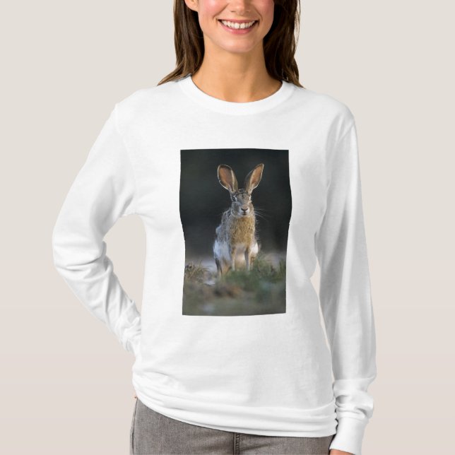 T-shirts Lebre-de-cauda-preta, Lepus californicus, 2 (Frente)