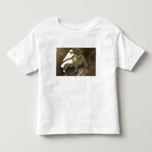 T-shirts Leopardo-africano, Panthera pardus
