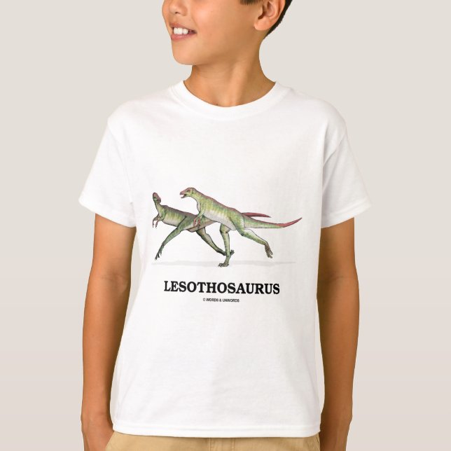 T-shirts Lesothosaurus (dinossauro de Ornithischian) (Frente)
