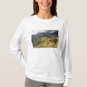 T-shirts Lhamas e uma vista geral de Machu Picchu,