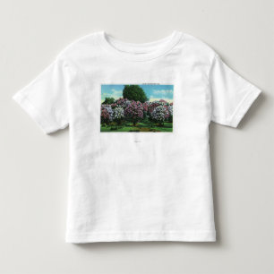 T-shirts Lilacs de Highland Park na flor