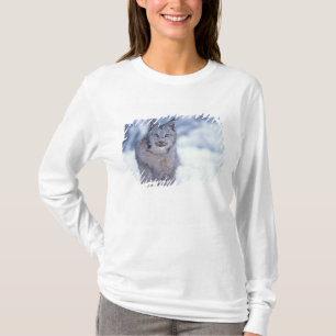 T-shirts Lince na neve nos contrafortes